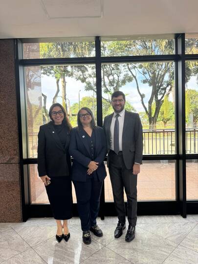 Anjur realiza encontro dos analistas do MPDFT